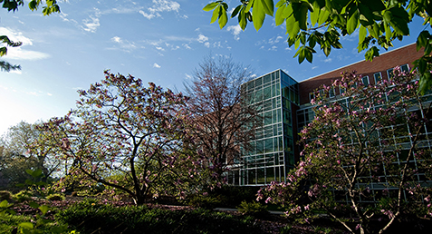 Read more about the article Faculty Receive Funding to Develop Open Educational Resources