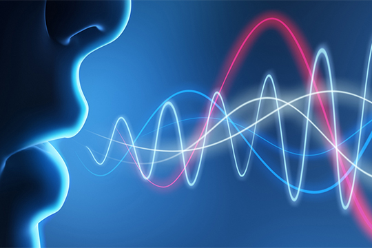 Read more about the article MSU Linguistics Ascends Rankings as a Solid Choice for Scholarship