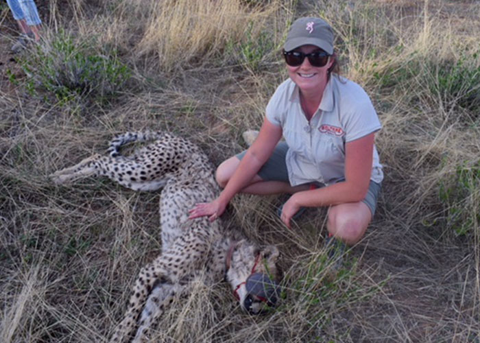 girl with hat and sunglasses poses for a picture with a cheetah, she is resting her hand on the cheetah's side