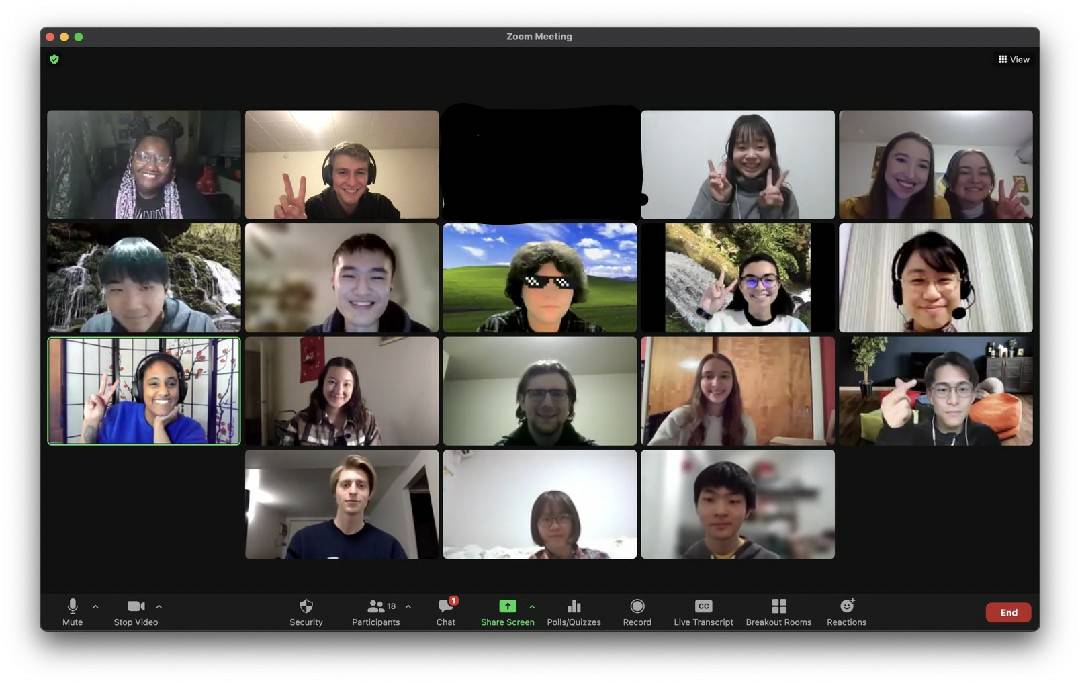 A screenshot of a Zoom meeting